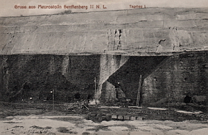 Senftenberg